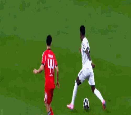 山东鲁能荣,获乒超女子,团体冠军宝,赌博导航,赌博网站排行榜