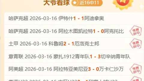 大乐透期号专家质合分析推荐前区十码：费内巴切VS米兰解析